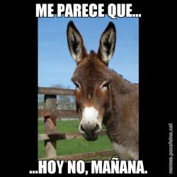ME PARECE QUE... ...HOY NO, MAÑANA.