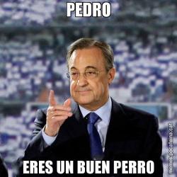 PEDRO ERES UN BUEN PERRO