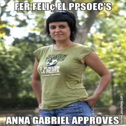 FER FELIç EL PPSOEC'S