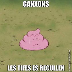 GANXONS LES TIFES ES RECULLEN