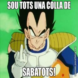 SOU TOTS UNA COLLA DE SABATOTS!