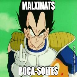 MALXINATS POCA-SOLTES
