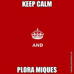 KEEP CALM PLORA MIQUES