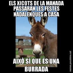 ELS XICOTS DE LA MANADA PASSARAN LES FESTES NADALENQUES A CASA AIXÒ SÍ QUE ÉS UNA BURRADA