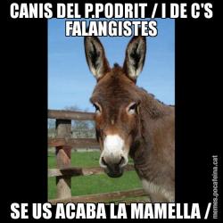 CANIS DEL P.PODRIT / I DE C'S FALANGISTES SE US ACABA LA MAMELLA /