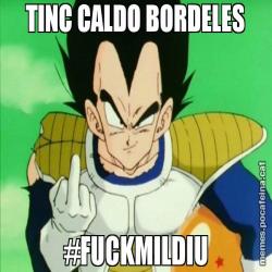 TINC CALDO BORDELES #FUCKMILDIU