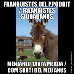 FRANQUISTES DEL P.PODRIT / FALANGISTES SIUDADANUS MENJAREU TANTA MERDA / COM SURTI DEL MEU ANUS