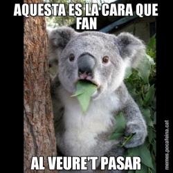 AQUESTA ES LA CARA QUE FAN AL VEURE'T PASAR