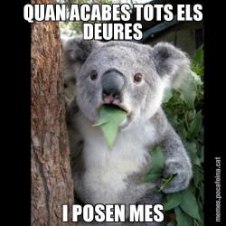 QUAN ACABES TOTS ELS DEURES I POSEN MES