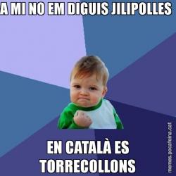 A MI NO EM DIGUIS JILIPOLLES  EN CATALÀ ES TORRECOLLONS