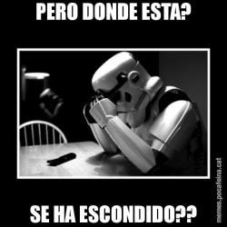 PERO DONDE ESTA? SE HA ESCONDIDO??