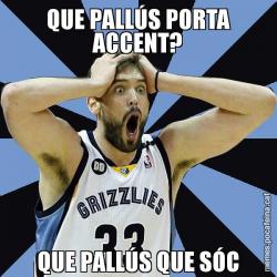 QUE PALLÚS PORTA ACCENT? QUE PALLÚS QUE SÓC