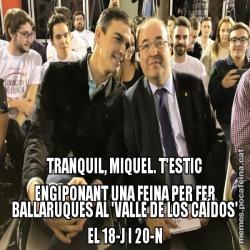TRANQUIL, MIQUEL. T'ESTIC ENGIPONANT UNA FEINA PER FER BALLARUQUES AL 'VALLE DE LOS CAÍDOS' EL 18-J I 20-N