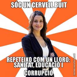 SÓC UN CERVELL BUIT REPETEIXO COM UN LLORO: SANITAT, EDUCACIÓ I CORRUPCIÓ