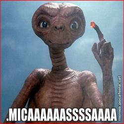 .MICAAAAAASSSSAAAA