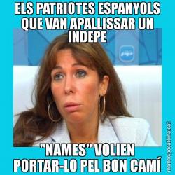 ELS PATRIOTES ESPANYOLS QUE VAN APALLISSAR UN INDEPE "NAMES" VOLIEN PORTAR-LO PEL BON CAMÍ