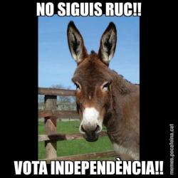 NO SIGUIS RUC!! VOTA INDEPENDÈNCIA!!