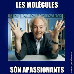 LES MOLÈCULES SÓN APASSIONANTS
