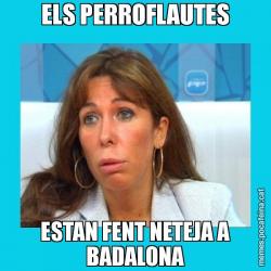 ELS PERROFLAUTES ESTAN FENT NETEJA A BADALONA