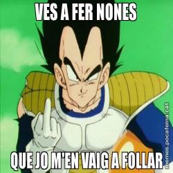 VES A FER NONES QUE JO M'EN VAIG A FOLLAR