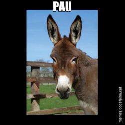 PAU