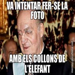 VA INTENTAR FER-SE LA FOTO AMB ELS COLLONS DE L'ELEFANT