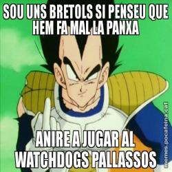 SOU UNS BRETOLS SI PENSEU QUE HEM FA MAL LA PANXA ANIRE A JUGAR AL WATCHDOGS PALLASSOS