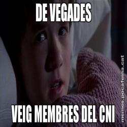 DE VEGADES VEIG MEMBRES DEL CNI