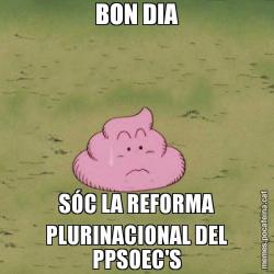 BON DIA SÓC LA REFORMA PLURINACIONAL DEL PPSOEC'S