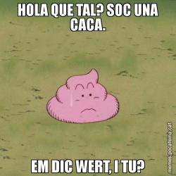 HOLA QUE TAL? SOC UNA CACA. EM DIC WERT, I TU?