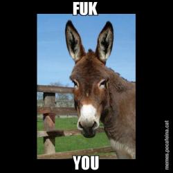 FUK  YOU