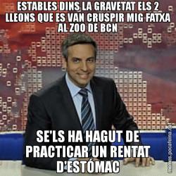 ESTABLES DINS LA GRAVETAT ELS 2 LLEONS QUE ES VAN CRUSPIR MIG FATXA AL ZOO DE BCN SE'LS HA HAGUT DE PRACTICAR UN RENTAT D'ESTÓMAC