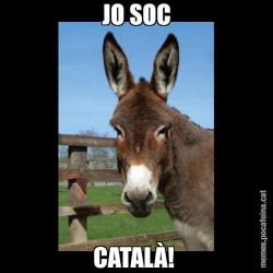 JO SOC CATALÀ!