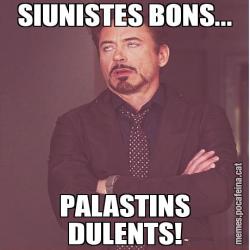 SIUNISTES BONS... PALASTINS DULENTS!