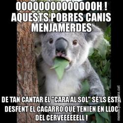 OOOOOOOOOOOOOOH ! AQUESTS POBRES CANIS MENJAMERDES DE TAN CANTAR EL "CARA AL SOL" SE'LS ESTÀ DESFENT EL CAGARRO QUE TENIEN EN LLOC DEL CERVEEEEEELL !