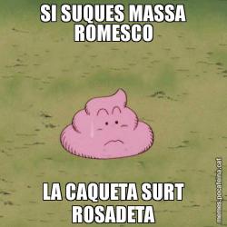 SI SUQUES MASSA ROMESCO LA CAQUETA SURT ROSADETA