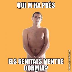 QUI M'HA PRÈS ELS GENITALS MENTRE DORMIA?