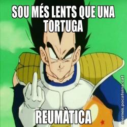 SOU MÉS LENTS QUE UNA TORTUGA REUMÀTICA