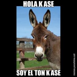HOLA K ASE SOY EL TON K ASE