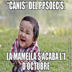 “CANIS” DEL PPSOEC’S: LA MAMELLA S’ACABA L’1 D’OCTUBRE