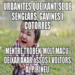 URBANITES QUEIXANT-SE DE SENGLARS, GAVINES I COTORRES MENTRE TROBEN 'MOLT MACU' DEIXAR ANAR óSSOS I VOLTORS AL PIRINEU