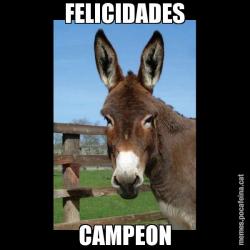 FELICIDADES CAMPEON