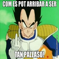 COM ES POT ARRIBAR A SER TAN PALLASO!