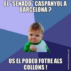EL "SENADO" CASPANYOL A BARCELONA ? US EL PODEU FOTRE ALS COLLONS !