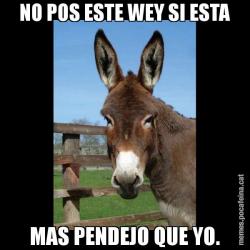 NO POS ESTE WEY SI ESTA MAS PENDEJO QUE YO.