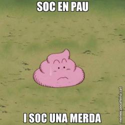 SOC EN PAU I SOC UNA MERDA