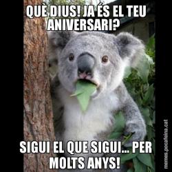 QUÈ DIUS! JA ÉS EL TEU ANIVERSARI?  SIGUI EL QUE SIGUI... PER MOLTS ANYS!