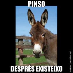 PINSO DESPRÉS EXISTEIXO