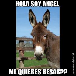 HOLA SOY ANGEL  ME QUIERES BESAR??