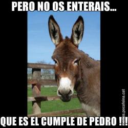 PERO NO OS ENTERAIS... QUE ES EL CUMPLE DE PEDRO !!!